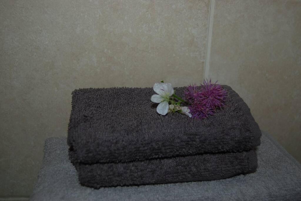 Creag Mhor Self Catering Holiday Apartment 아버포일 외부 사진